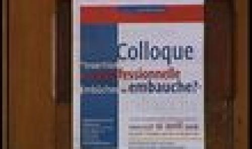 Colloque : l'insertion professionnelle